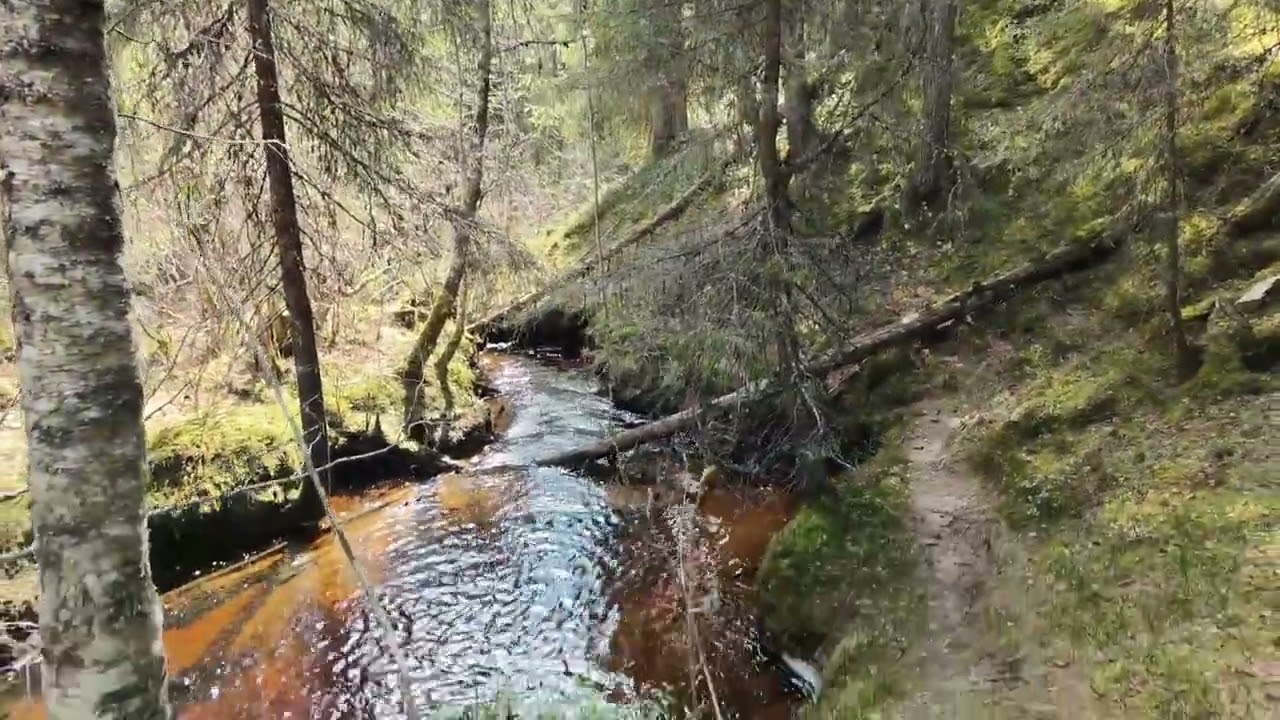 Pahkakuru, Taivalkoski