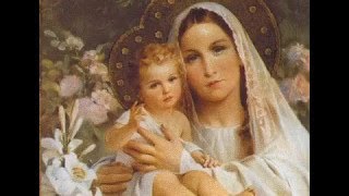 O amor de Maria, amor de mãe! Padre Robson de Oliveira