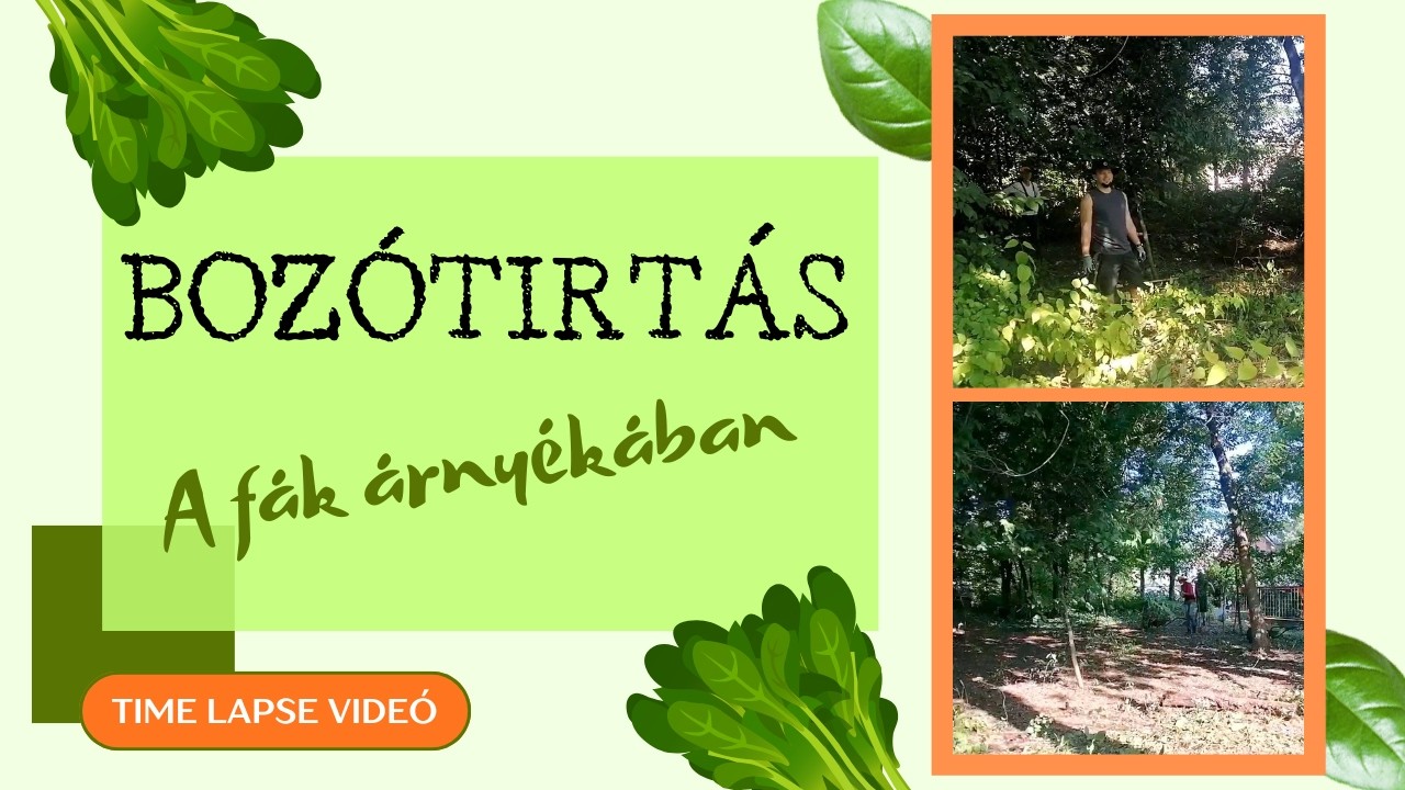 Telektisztítás a fák árnyékában