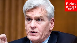 'It Was Supposed To Be Ready In October': Bill Cassidy Slams Biden Admin's FAFSA Processing Speed