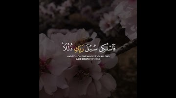 القارئ خالد الجليل سورة النحل (وأوحى ربك إلى النحل أن اتخذي من الجبال بيوتا ومن الشجر ومما يعرشون)🍁