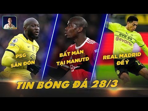 TIN BÓNG ĐÁ 28/3:, LUKAKU ĐƯỢC PSG SĂN ĐÓN, POGBA KHÔNG HÀI LÒNG VỚI MANUTD, REAL NGẮM BELLINGHAM