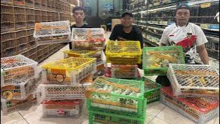BONGKAR KENARI RATUSAN EKOR - FULL STOK AMBIYAR - KENARI BAHAN SERY LOPER SAMPAI F2YS LENGKAP