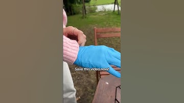 Ethical Hacker Career Under 60 Seconds! #software #codingtool  #coder