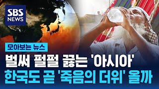 벌써 펄펄 끓는 '아시아'...한국도 곧 '죽음의 더위' 올까 / SBS / 모아보는 뉴스