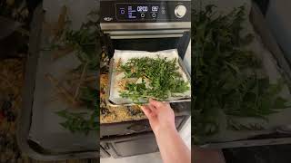 Dandelion tea tutorial. How to make Tea from the flowers in your backyard. #gardening #tea #health