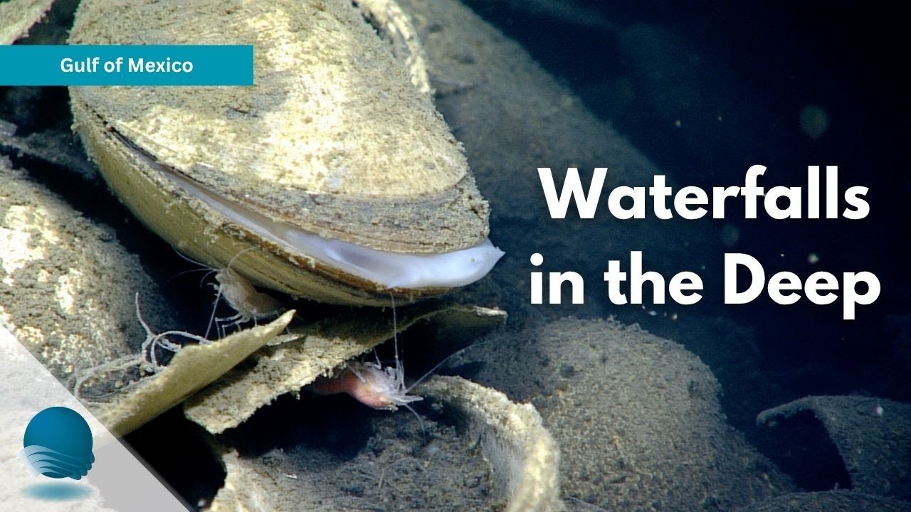 Gulf of Mexico 2018: Waterfalls in the Deep - YouTube