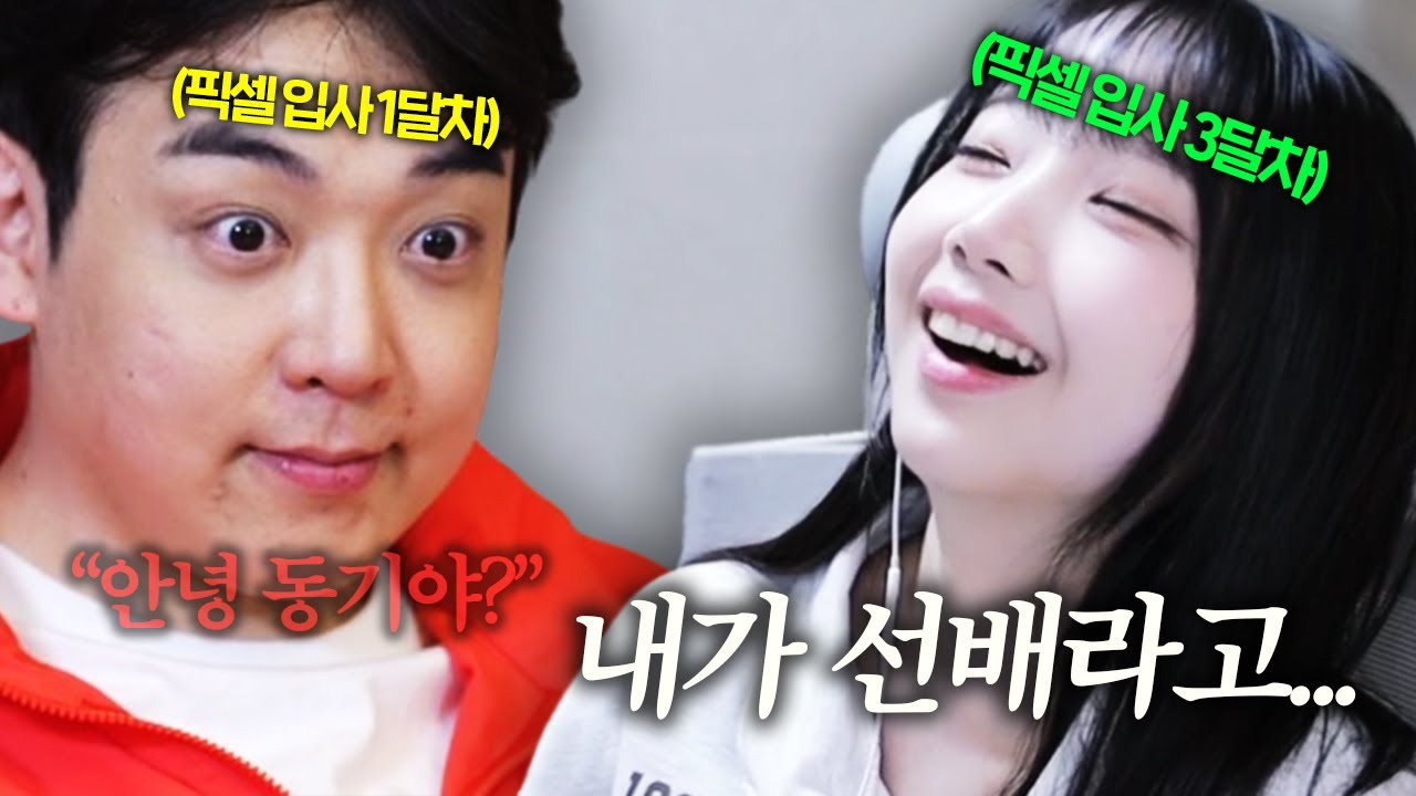 회사 막낸데 신입이 들어왔다