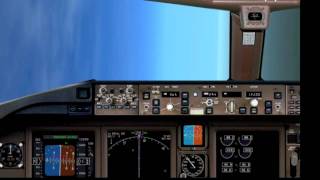 JAL 777 Aileron Hardover