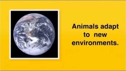 Vestigial Structures: A Quick Overview