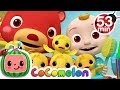 The Duck Hide and Seek Song + More Nursery Rhymes & Kids Songs - CoComelon