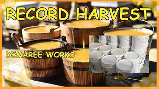 RECORD HONEY HARVEST | DEMAREE RESULTS