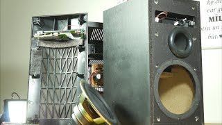 Look inside Pioneer S-W110S budget subwoofer - What's Inside? Resimi