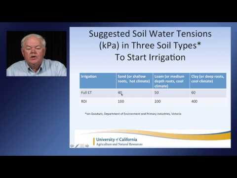 Vineyard Irrigation with