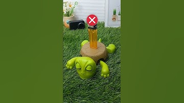 What do you want me to put on top of this turtle? #turtlecoaster #turtle #coaster #130