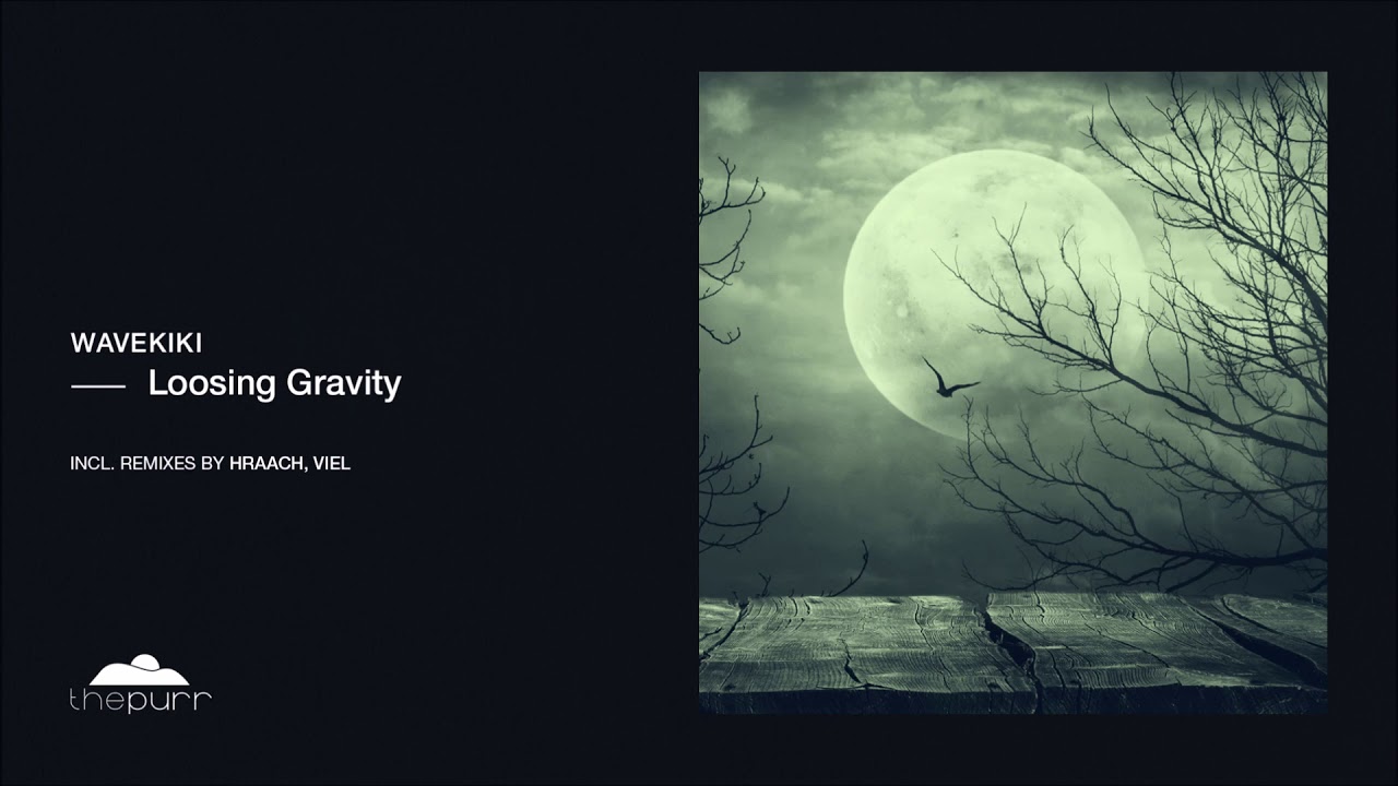 Wavekiki - Loosing Gravity (Original Mix)