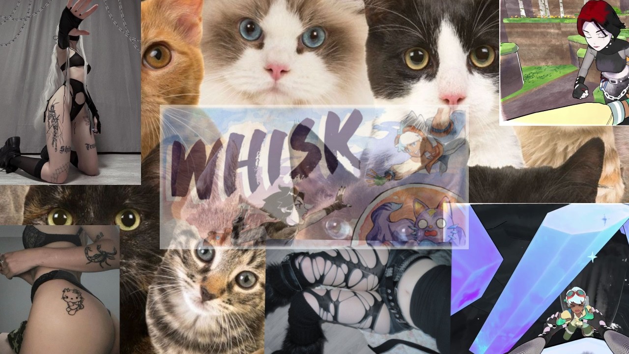 WHISK ale jestem gotkom