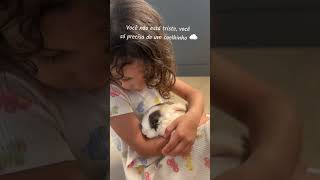 Meu pequeno bebezinho Pompom 🐰🩵#bunny #minilop #viralshorts #coelho