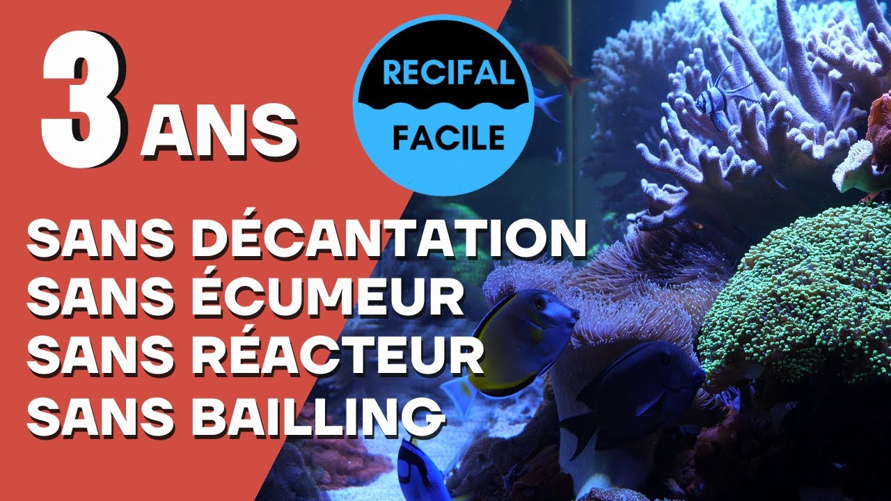 Mon bac après 3ans.