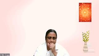 Journey of Remembrance | BK Chaya Didi Ji } 23May2026