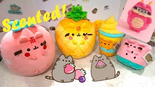 🍓 2024 New Pusheen Plush! Upcoming Fruits Line? by Our Pusheen Cat Addiction 4,991 views 3 months ago 10 minutes, 44 seconds