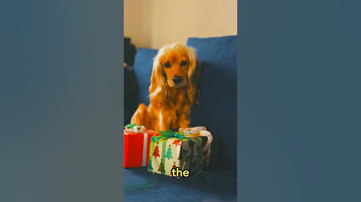 Top 3 laziest dog breeds in the world!