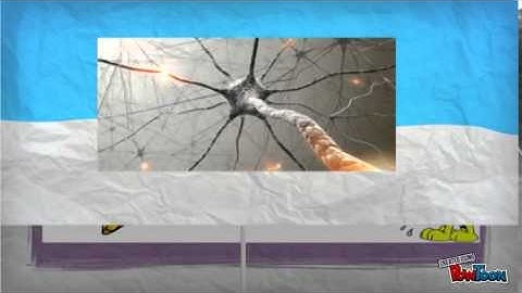 Stimulus Substitution theory by Pavlvo