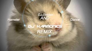 The Hampster Dance - (DJ Harmonics & DJ Striden Remix)