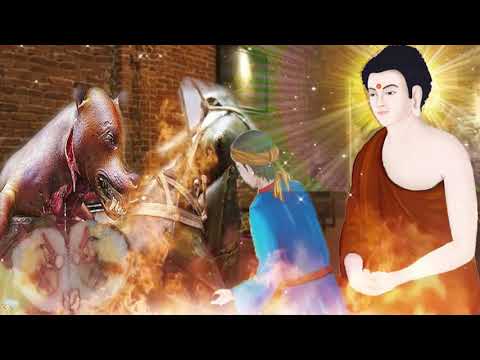 Video Lời Phật Dạy Không Quảng Cáo : Tạo Nghiệp Sát Sinh Lấy... - youtube