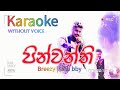 පින්වන්ති | Pinwanthi | Breezy _ Chu bby | karaoke| Channel C 
