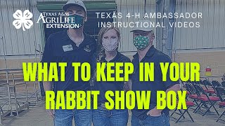 What to Take to Your Rabbit Show