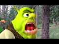 Shrek Retold - Arrow