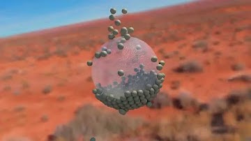 Attractor Sphere and Sphere Particles