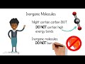 Organic vs Inorganic Molecules: Key Characteristics and Identifying Features