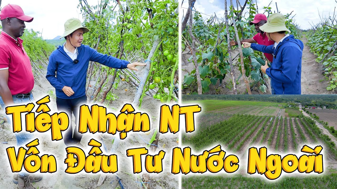 CƠ HỘI TRỜI CHO, Được Tiếp Quản Nông Trại Khủng CÓ VỐN ĐẦU TƯ NƯỚC NGOÀI 1000 Hécta