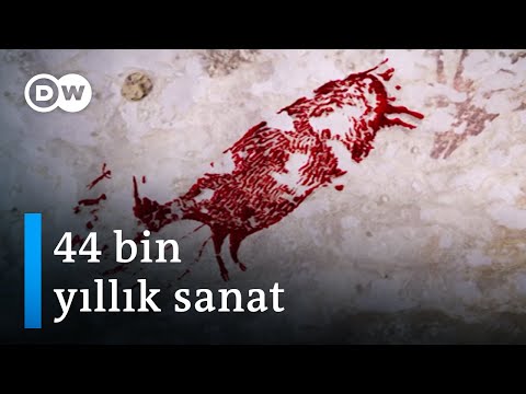 Dünyanın en eski sanat eserleri bulundu: 44 bin yaşında! - DW Türkçe