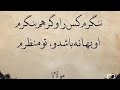 پیل اندر خانه تاریک بود مثنوی معنوی مولانا عشق حقیقی خودشناسی آزادی شعله دوقلو 