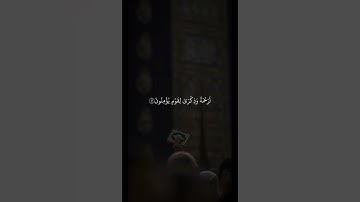 اكتب شيء تؤجر عليه ❤️😴| تلاوة هادئة ومريحة  جدا_قران كريم_القارئ عبد الرحمن مسعد