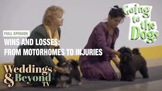 Championship Struggles: Injuries, Clients & High Stakes! - Going To The Dogs | Win Some/Lose Some