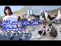 Zamir Kabuli - کفتر بازی ضمیر کابلی در منطقه چهلستون - خنده کو