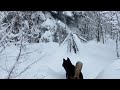 Caught in a Storm - Winter Camping in a Snowstorm with My Dog - Hot Tent Camping - Bushcraft Skills