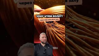 🔥 ЧОМУ ПІСЛЯ ТРЕНУВАННЯ, НОГИ БОЛЯТЬ НЕ ОДРАЗУ, А НА НАСТУПНИЙ ДЕНЬ? #фітнес #тренування