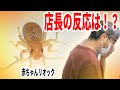お世話になった昆虫ショップにリオックをプレゼントしてみた結果