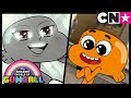 Gumball  Darwin The Ladies Man 💙  Cartoon Network - YouTube