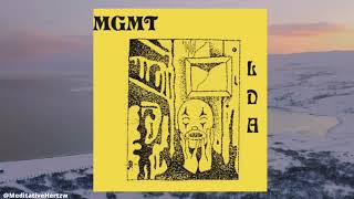 MGMT - Days That got away (In 432Hz)