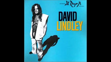 David Lindley   She Took Off My Romeos with Lyrics in Description