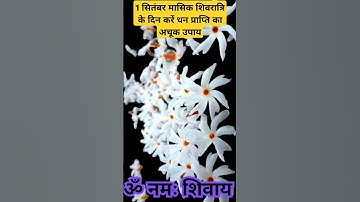 1 सितंबर मासिक शिवरात्रि के दिन करे धन प्राप्ति का अचूक उपाय #pandit_pradeep_ji_mishra #upay #shorts
