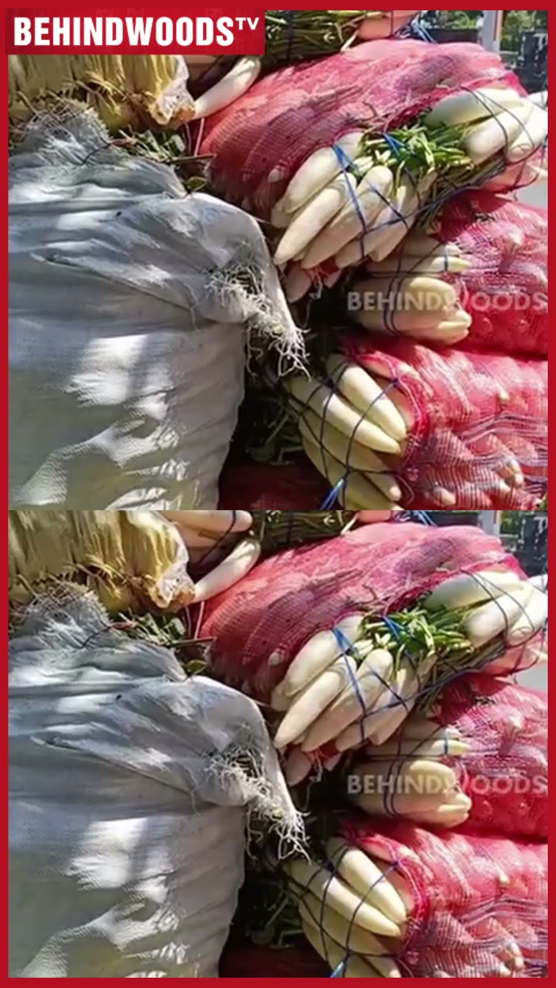 '25 TON காய்கறி..100 மூட்டை அரிசி!' ? லாரி லாரியாக பாசத்தை பொழிந்த இஸ்லாமியர்