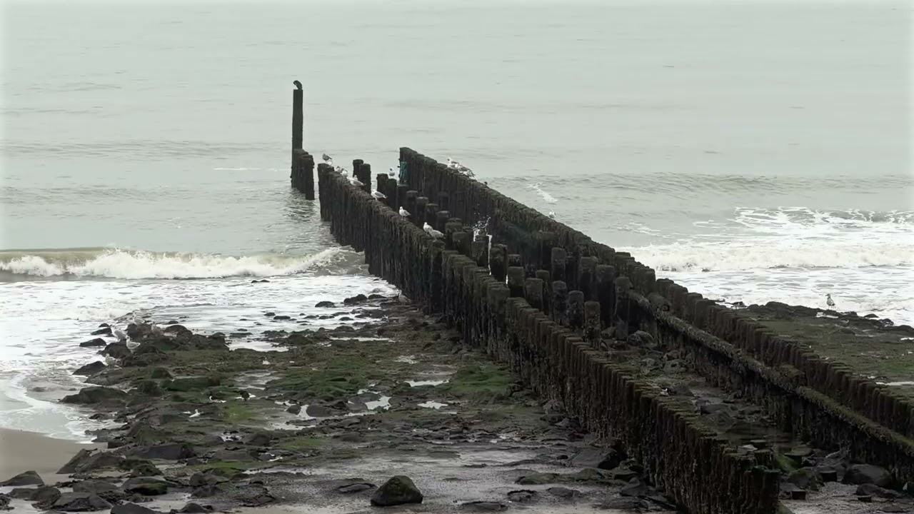 20251229 Westkapelle - Strand im Winter