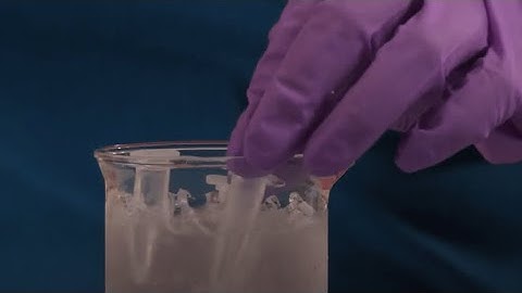 Transforming Competent Cells